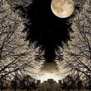 Meet your Posher, Dorian